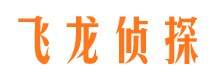 淮阳私家调查公司